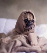 保亭有这样的手机号码，留不住钱，你中枪了吗？