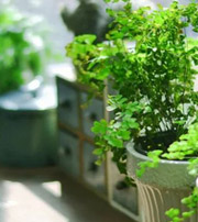 保亭专属于你的开运指南，助你鸿运当头福满身！