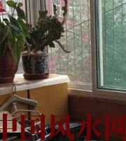 保亭有这些坏习惯，只会让财运从你身边溜走~