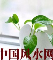 保亭家中摆放六种吉祥物，会打开您的财运大门！