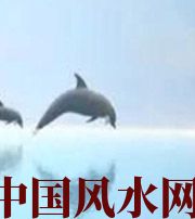 保亭做梦梦到这些，是要富裕的征兆！
